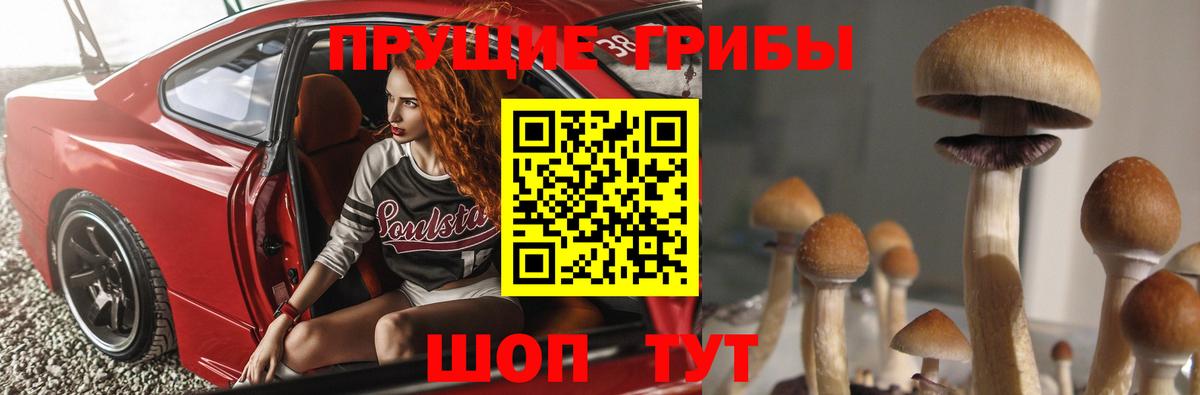Галлюциногенные грибы Cubensis  Вход с VPN  хочу наркоту  Псилоцибиновые грибы мухоморы  Бузулук 